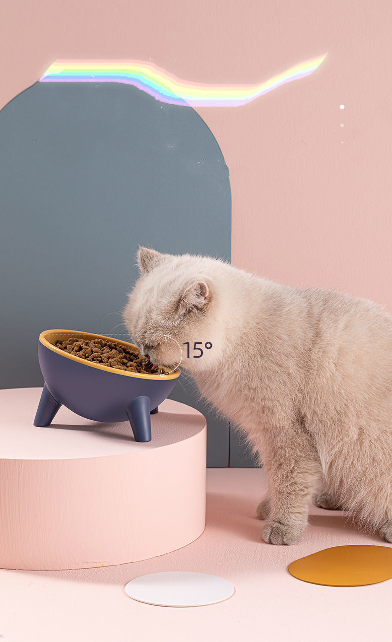 Katt Hund Skål Med Stativ Husdjursmatningsskålar Hundar Kanin Kanin Nordic Color Matarprodukter Tillbehör Husdjurstillbehör