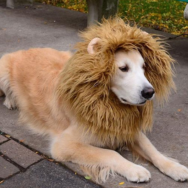Söt Husdjur Cosplay Kläder Transfiguration Kostym Lejonman Vinter Varm Peruk Katt Stor Hund Festdekoration Med Öra Husdjurskläder