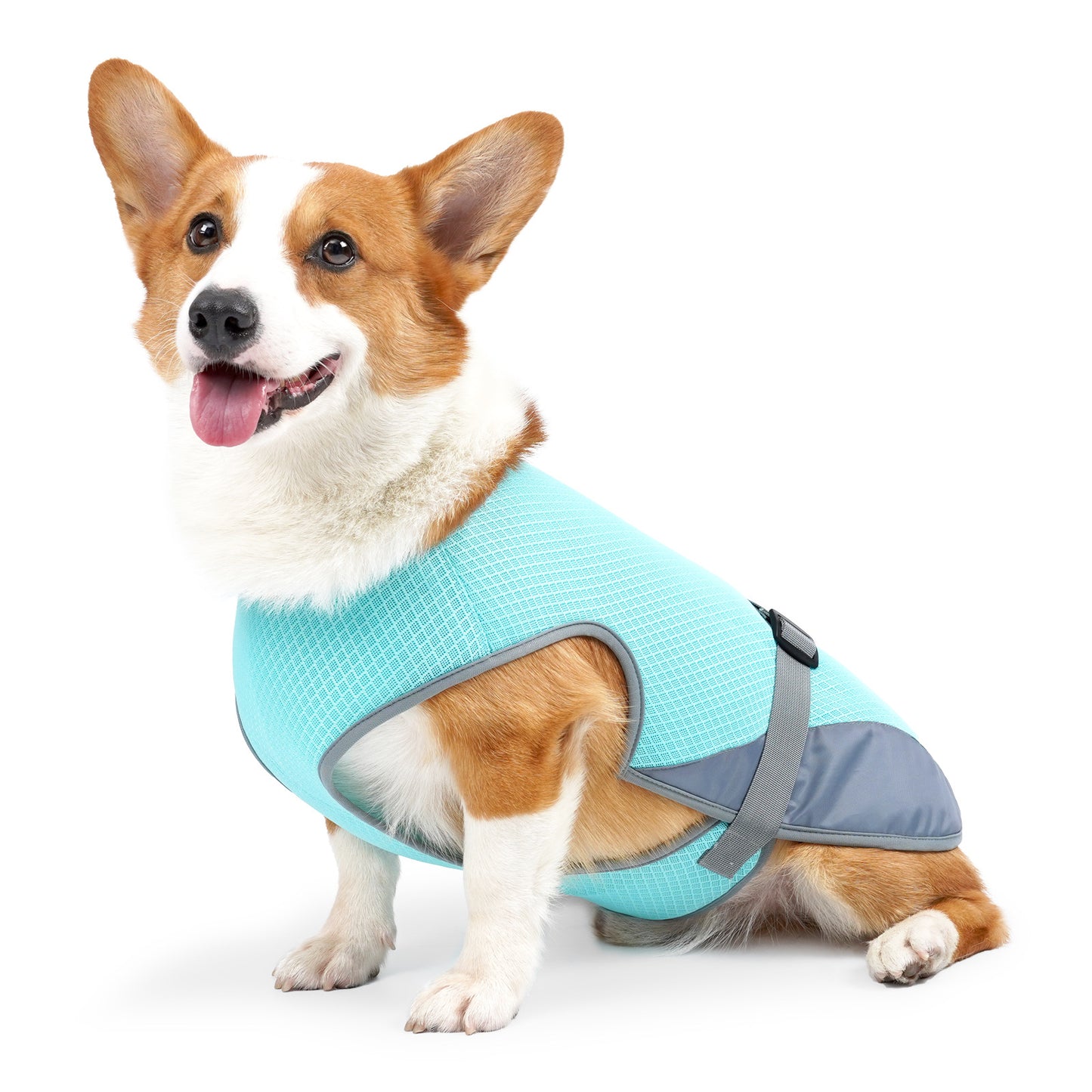 Pet Cooling Clothing/ Dog Clothing / Pet Supplies