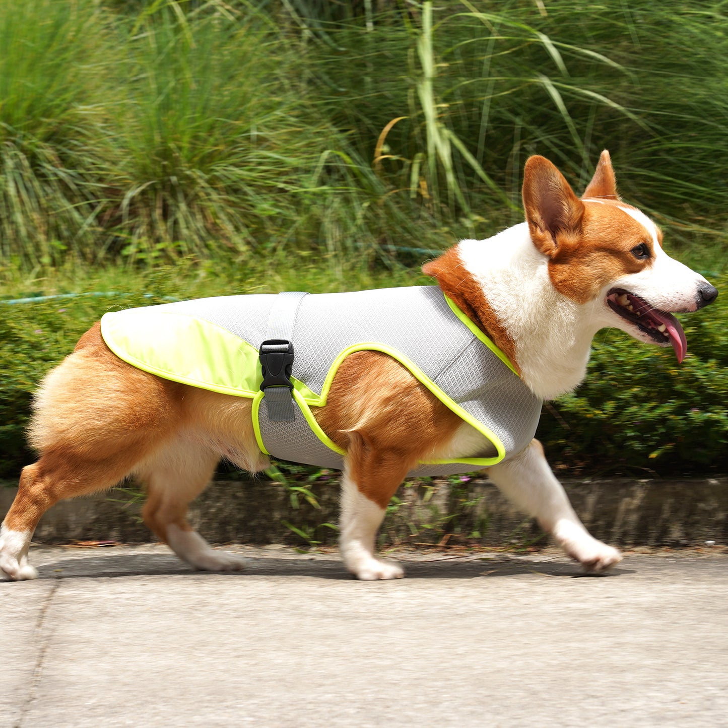 Pet Cooling Clothing/ Dog Clothing / Pet Supplies