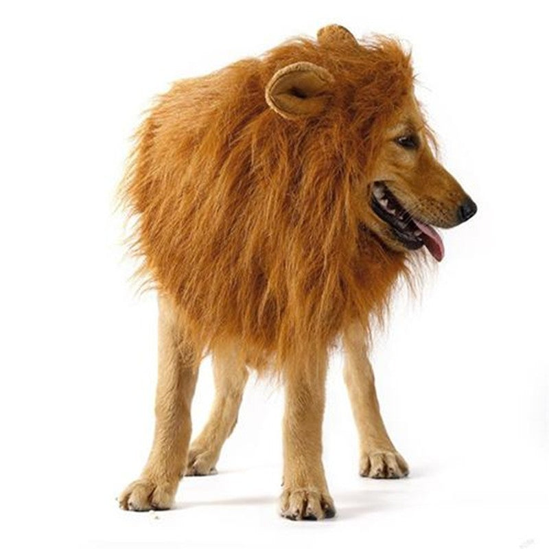 Söt Husdjur Cosplay Kläder Transfiguration Kostym Lejonman Vinter Varm Peruk Katt Stor Hund Festdekoration Med Öra Husdjurskläder