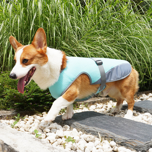 Pet Cooling Clothing/ Dog Clothing / Pet Supplies