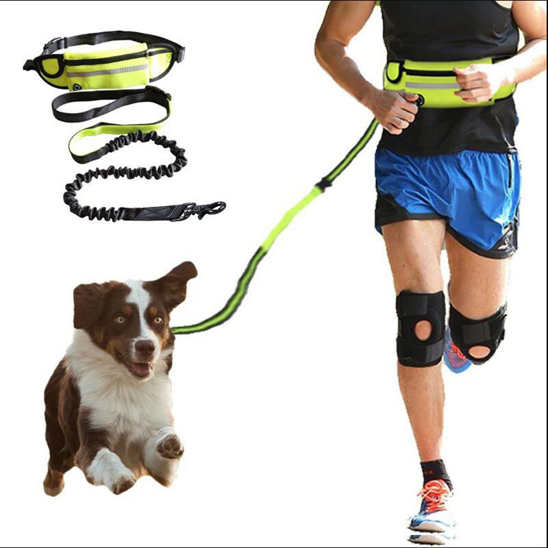 Handsfree hundkoppel för promenader och träning med stötdämpande elastiskt koppel för stora hundar upp till 180 kg, telefonficka och vattenflaskhållare