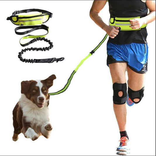 Handsfree hundkoppel för promenader och träning med stötdämpande elastiskt koppel för stora hundar upp till 180 kg, telefonficka och vattenflaskhållare
