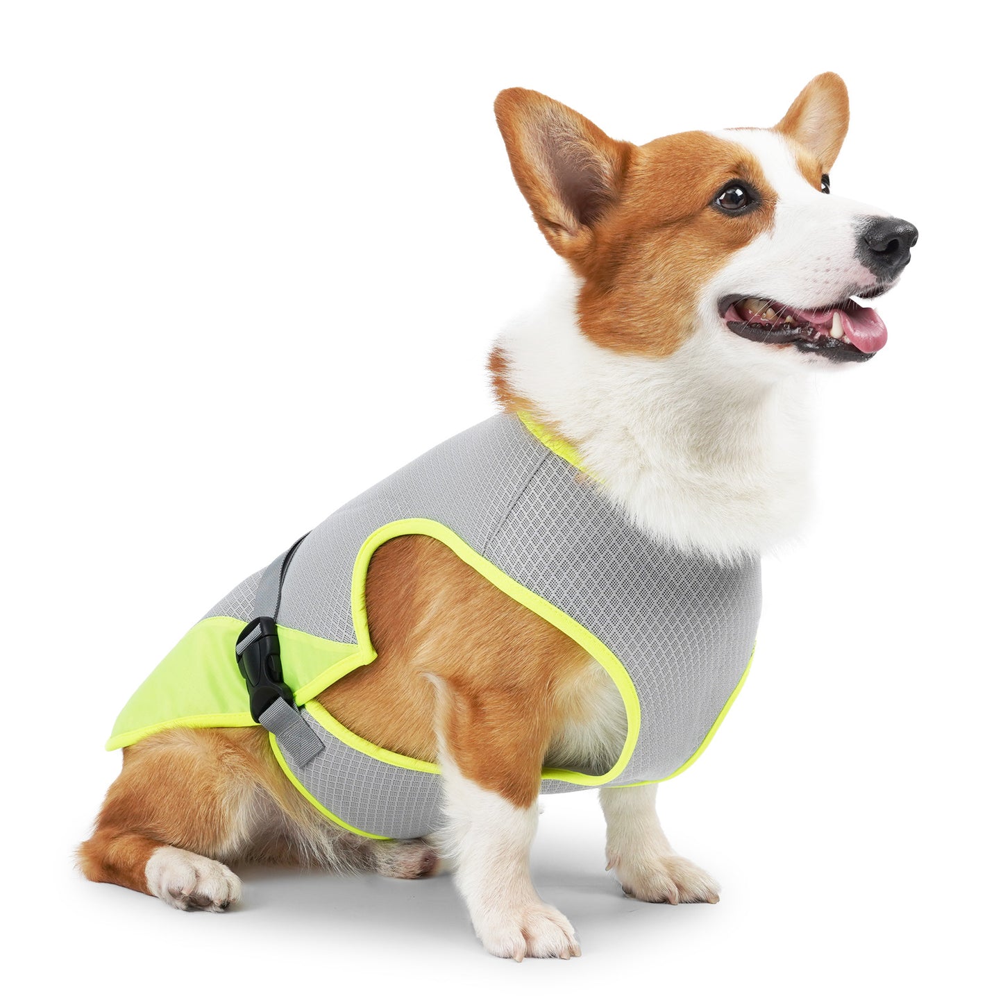 Pet Cooling Clothing/ Dog Clothing / Pet Supplies