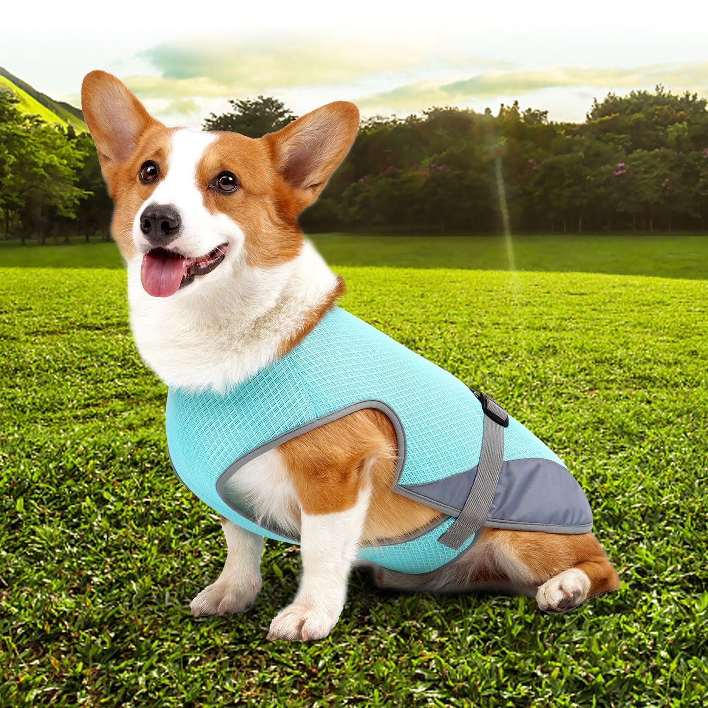 Pet Cooling Clothing/ Dog Clothing / Pet Supplies
