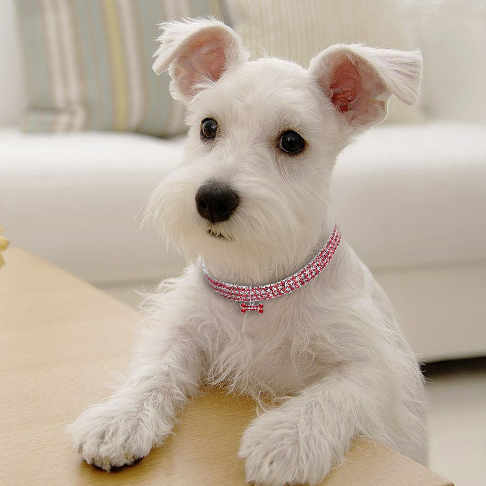 Bling Strass Hundhalsband Kristall Valp Chihuahua Husdjur Hundhalsband Koppel För Små Medelstora Hundar Katter
